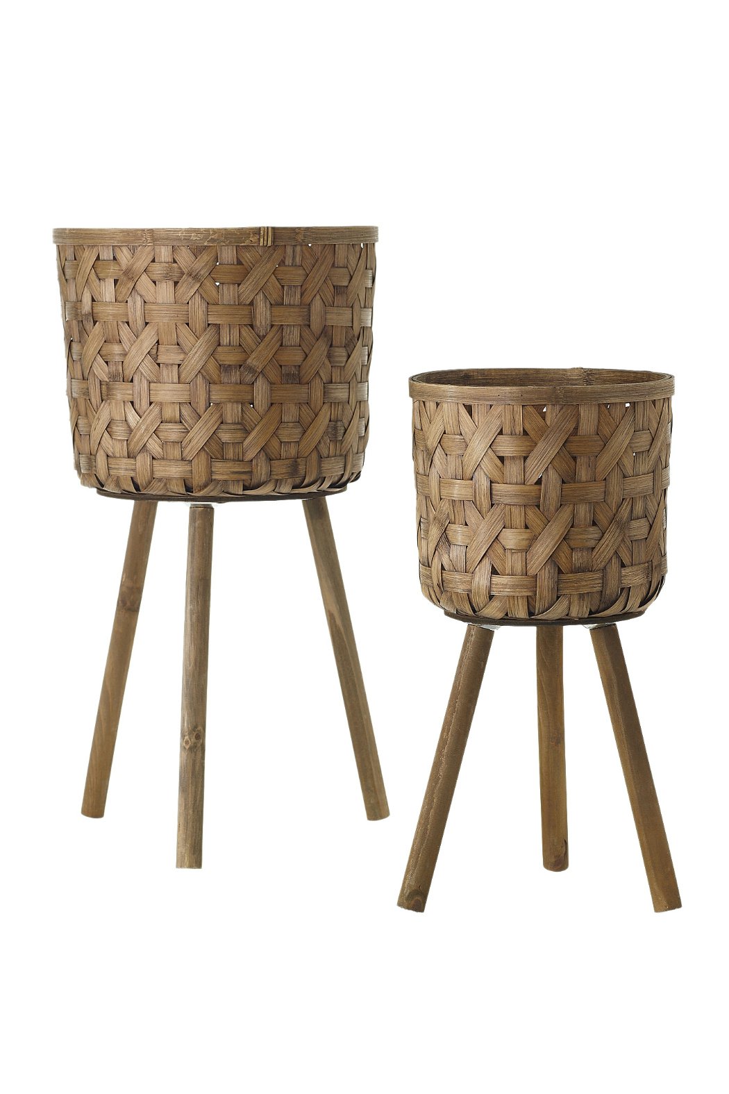 Pot 4 - Pink Magnolia Station