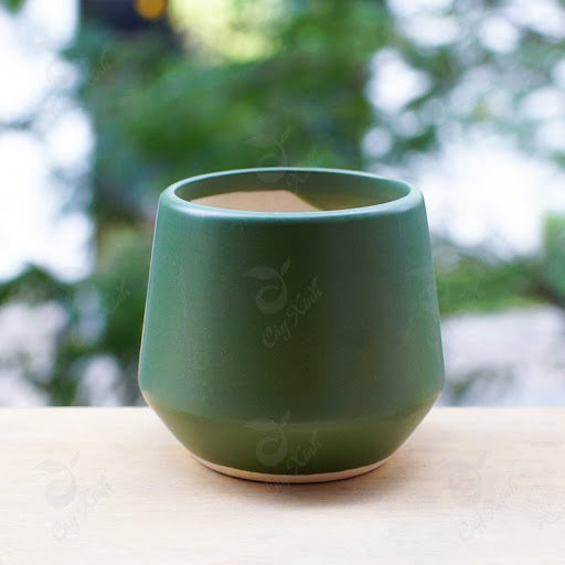 Pot 7 - Pink Magnolia Station