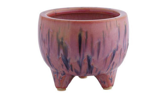 Pot 5 - Pink Magnolia Station