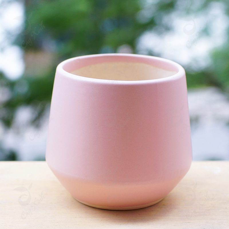 Pot 7 - Pink Magnolia Station