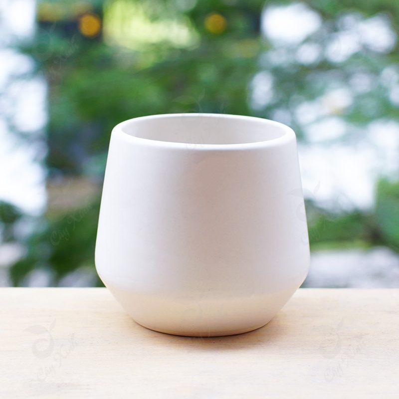 Pot 7 - Pink Magnolia Station