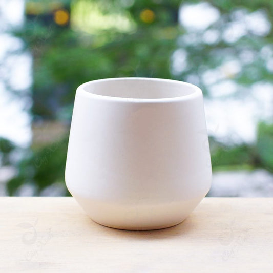 Pot 7 - Pink Magnolia Station